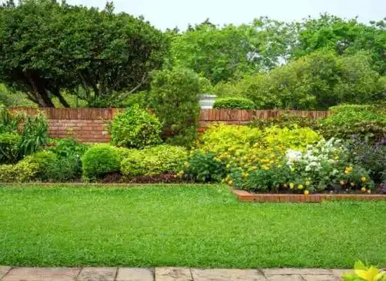 landscaping services Forest Lake